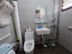 Blk 276 Bangkit Road (Bukit Panjang), HDB Executive #569728581